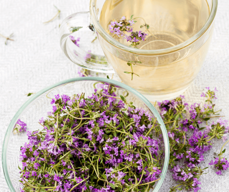 Thyme Heals All Wounds Rinascentia Thyme Heals All Wounds Rinascentia